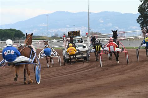 Corse Al Trotto Novembre Ippodromo Capannelle