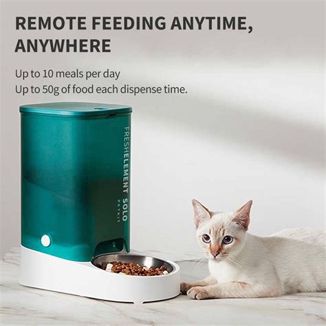 PETKIT Fresh Element Solo – PETKIT Canada