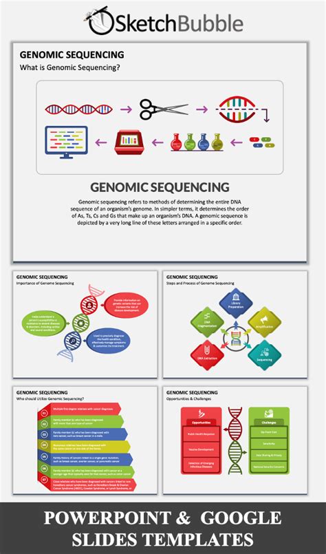 Genomic Sequencing PPT | Genome sequencing, Powerpoint design, Slide design