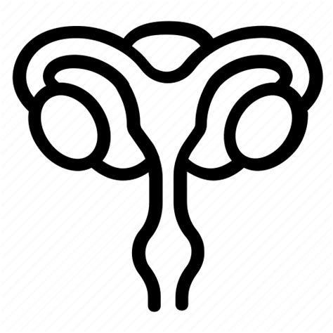 Uterus Ovary Reproductive System Fallopian Tube Cervix Icon