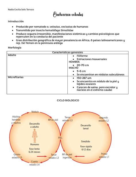 Onchocerca Volvulus Resumen Completo Parasitos Extraintestinales