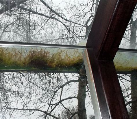 double pane   butt windows