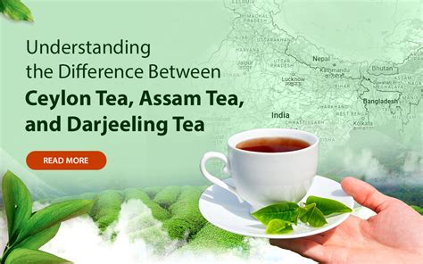 Understanding The Difference Between Ceylon Tea Assam Tea And Darjeeling Tea Golden Tips Tea