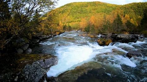 Relaxing sound of a waterfall in the autumn forest