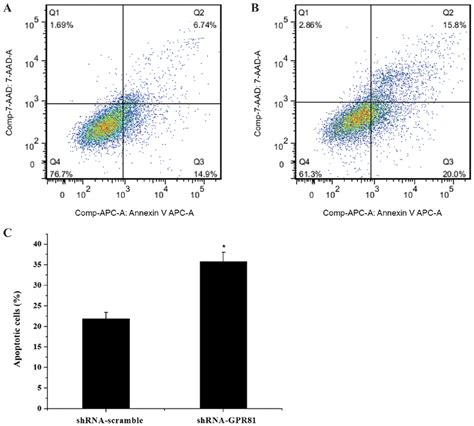 GPR81 Knockdown Combined With Cisplatin Increases Apoptosis Of FaDu