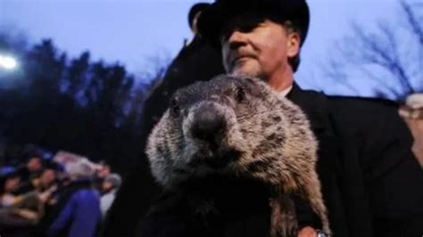 La Marmota Phil Anunci M S Invierno