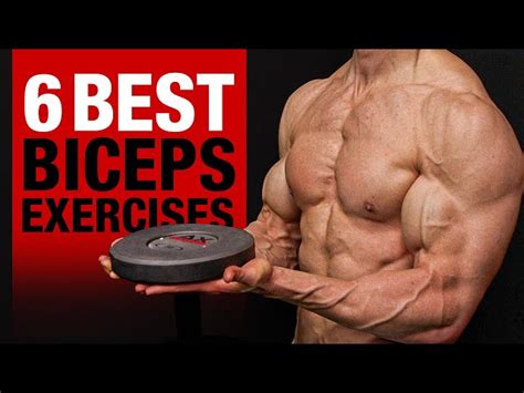 Best Bicep Building Exercises At Home Eoua Blog