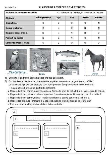 6 e Classer les êtres vivants Digipad by La Digitale