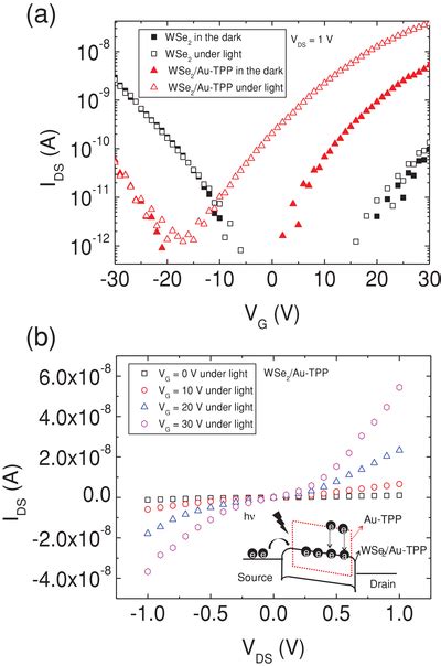 A Transfer Characteristic Curves Of The Fets Based On Pristine Wse