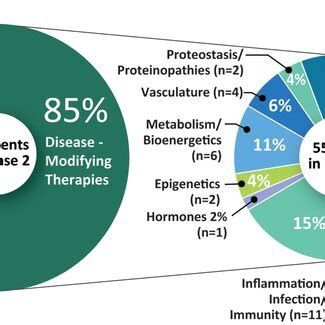 Mechanisms Of Action Of Agents In Phase Of The Alzheimer S Disease