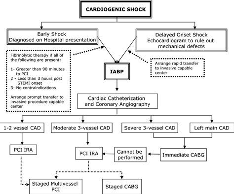 Cardiogenic Shock Circulation