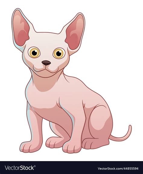 Little sphynx cat cartoon animal Royalty Free Vector Image