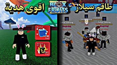 بلوكس فروت بداية نوب 5 اقوى هدية في بلوكس فروت 🔥😍 Roblox Blox