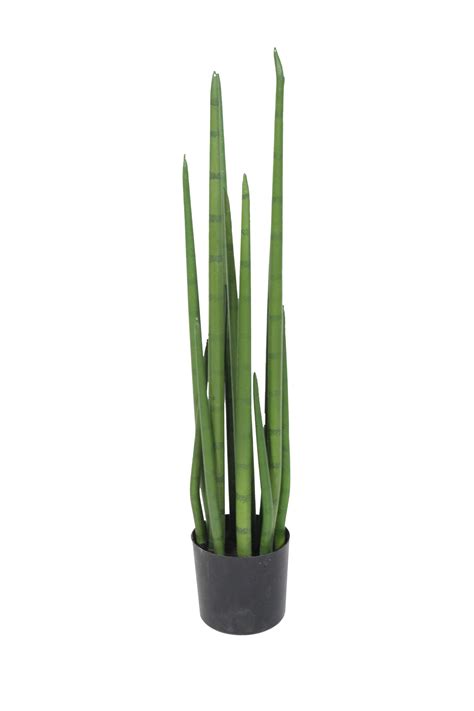 Mikado Plant - FP7 — The Decor Hub