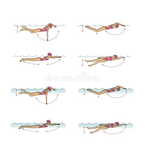 Breaststroke Stock Illustrations 458 Breaststroke Stock Illustrations