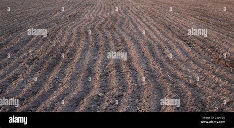 Soil On The Field Of Agriculture Preparatory To Sowing Background