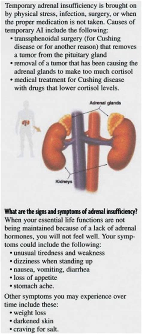 Ap Psychology Review - Adrenal Hormones