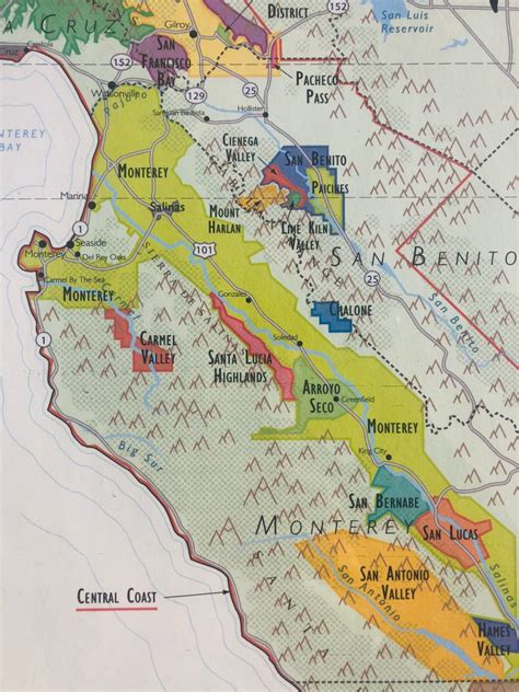 Central Coast North Wine Demystifying The Vine