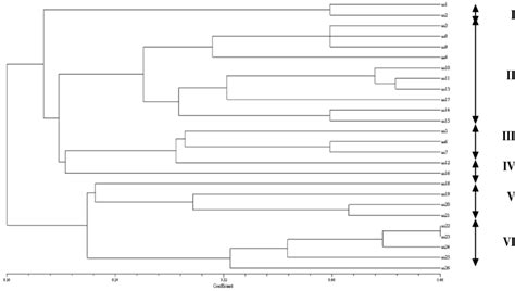 Dendrogram Resulting From Upgma Cluster Analysis Of 26 Rice Cultivars