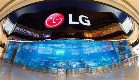 Lg Display To Join Samsung And Boe In Expanding Oled Production