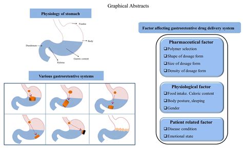 Pharmaceutics Free Full Text Current State And Future Perspectives