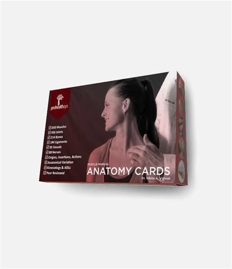 Muscle Manual Anatomy Flash Cards Prohealthsys Au