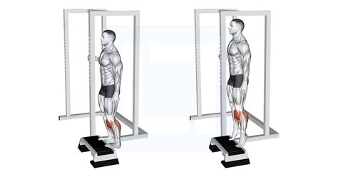 Elevated Standing Calf Raise - Guide, Benefits, and Form