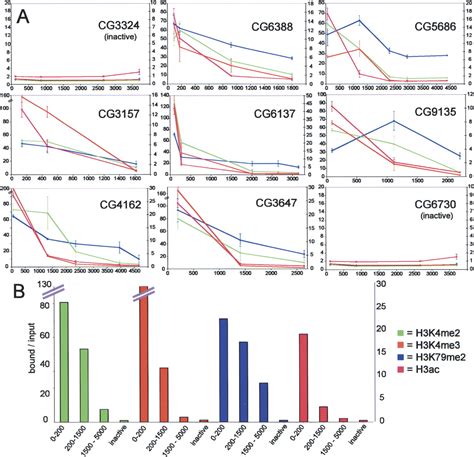 Variant Histone H33 Is Deposited At Sites Of Nucleosomal Displacement