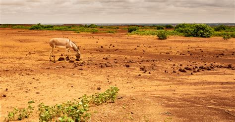 IVORY COAST: GCA to facilitate €2bn for climate resilience | Afrik 21