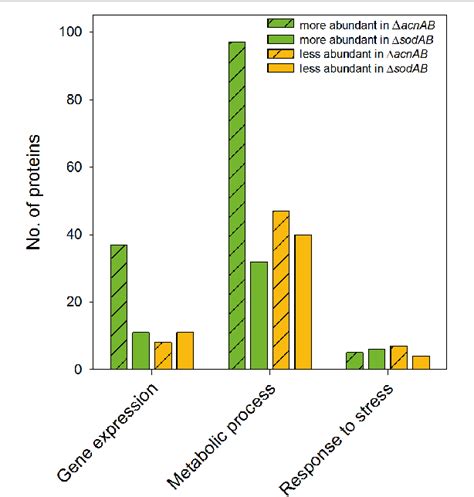 Figure From Impact Of Ros Induced Damage Of Tca Cycle Enzymes On