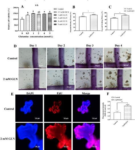 Figure 1 From Glutamine Regulates Gene Expression Profiles To Increase