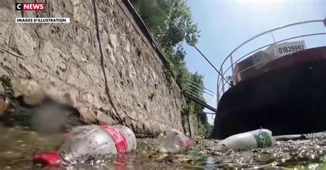 Jo 2024 Les Eaux De La Seine Dans Un état Alarmant En Streaming