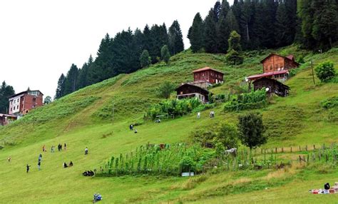 Karadeniz de Gezilecek Yerler Listesi Görülecek En Güzel 13 Yer