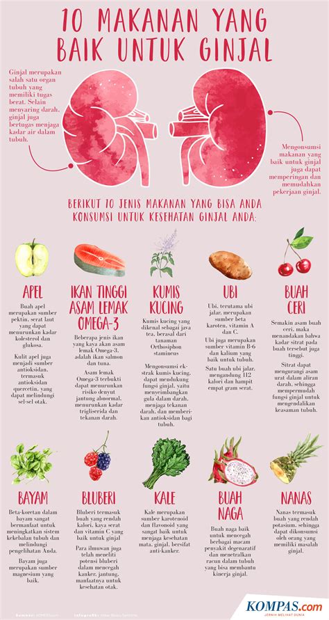 Infografik 10 Makanan Yang Baik Untuk Kesehatan Ginjal