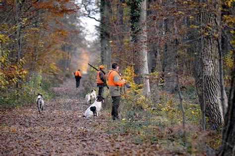 Loire Ce Dimanche Cest Louverture De La Chasse