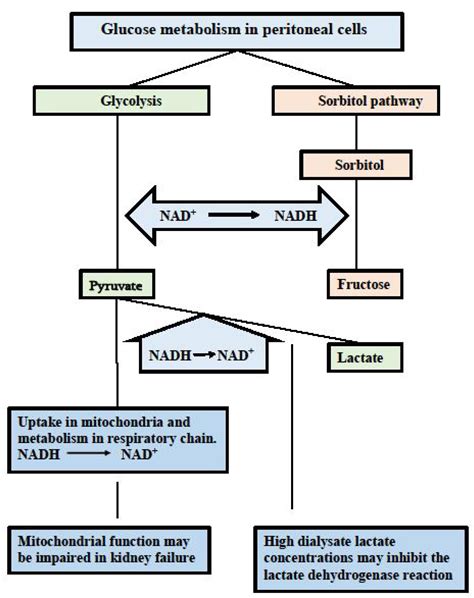 Glucose Induced Pseudohypoxia And Advanced Glycosylation End Products