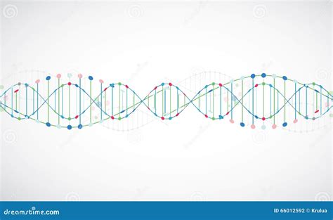 Wetenschapsmalplaatje Behang Of Banner Met Een Dna Molecules Vector