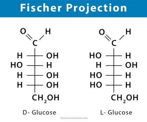 Fischer Projection Definition Illustration And Examples