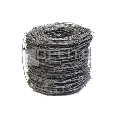 Hot Dipped Galvanized Stainless Steel Barbed Wire Fence Double Strand