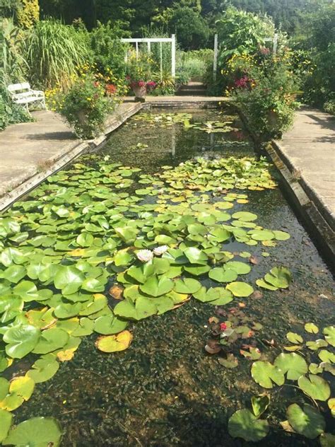 Pond In The Formal Victorian Gardens Cragside House Victorian Gardens