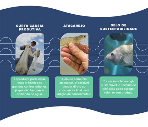 Os Benef Cios Dos Bioflocos Na Cria O De Peixes E Camar Es Senar Goi S