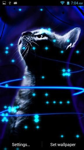 Neon Cat Wallpaper - WallpaperSafari