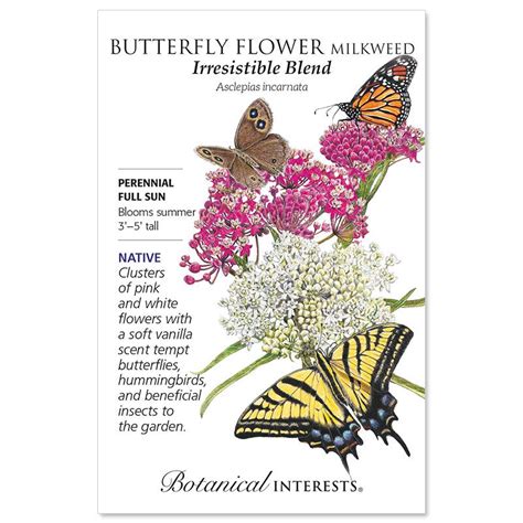 Irresistible Blend Milkweed Butterfly Flower Seed Stark Bros