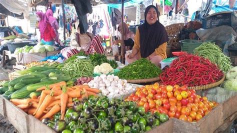 Update Harga Sayur Di Pagaralam Mayoritas Harga Sayuran Turun Timun