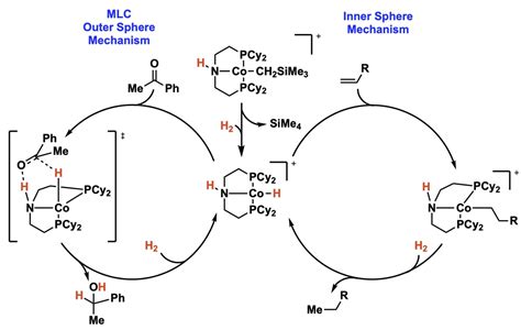 Difference Between Inner Sphere And Outer Sphere Mechanism