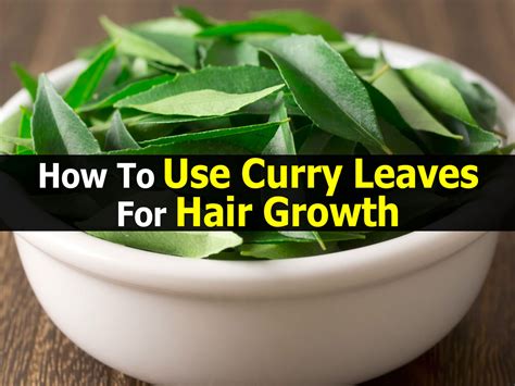 How To Use Curry Leaves For Hair Growth