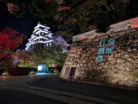 幻想的な灯りに魅せられて～岡山後楽園 ほっこり、まったり、ふんわりな日々