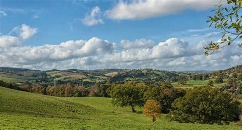 View From Stoke Woods Exeter City West Country Farmland Woods