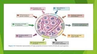 mechanism  cancer  pptx