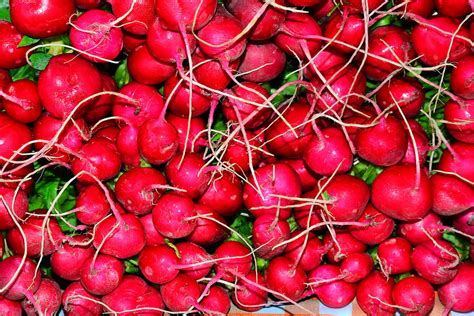 Radishes Photograph By Patrick Bourke Fine Art America